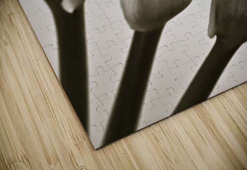 Calla Lillies Assaf Frank puzzle
