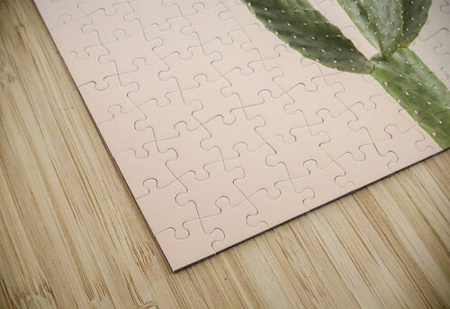Desert Jewel Assaf Frank puzzle