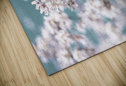 Blossoms Assaf Frank puzzle