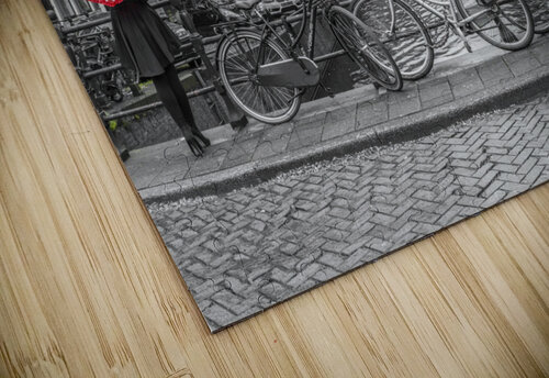 Amsterdam City Assaf Frank puzzle
