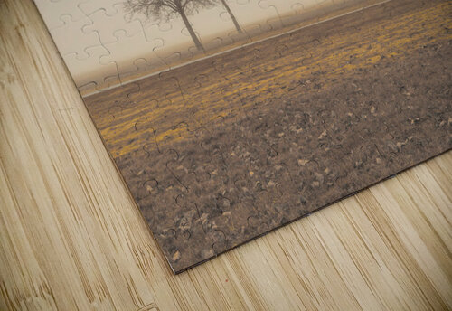 Misty Countryside Assaf Frank puzzle