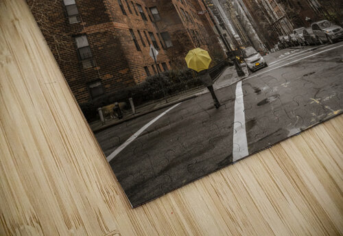 Downtown Manhattan Assaf Frank puzzle