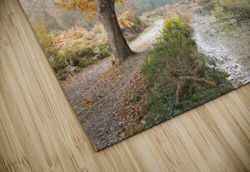 Basingstoke Canal Assaf Frank puzzle