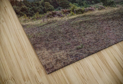 Beautiful Landscape Assaf Frank puzzle