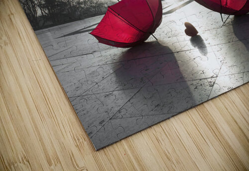 Umbrellas and Eiffel Tower Assaf Frank puzzle