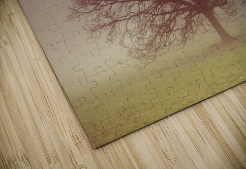 Lone Guardian Assaf Frank puzzle
