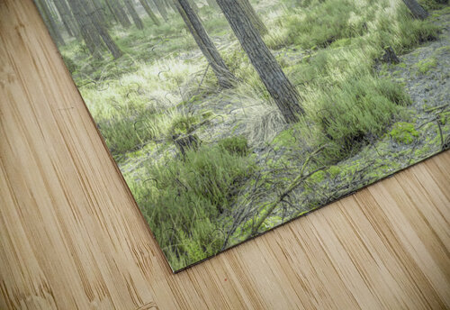 Forest Sunburst Assaf Frank puzzle