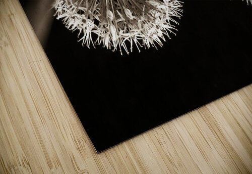 Brown Allium Delight Assaf Frank puzzle