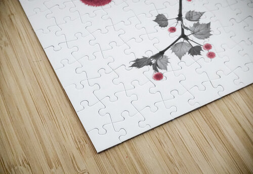 Hanging Twigs Assaf Frank puzzle