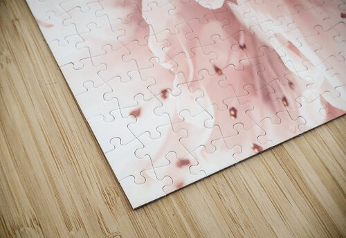 Azalea Assaf Frank puzzle
