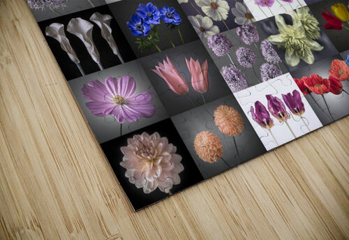 Flowers Collage Assaf Frank puzzle