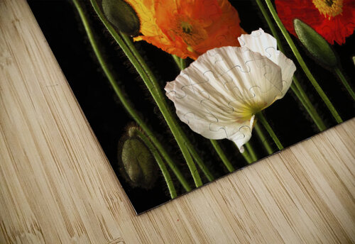 Multicoloured Poppies Assaf Frank puzzle