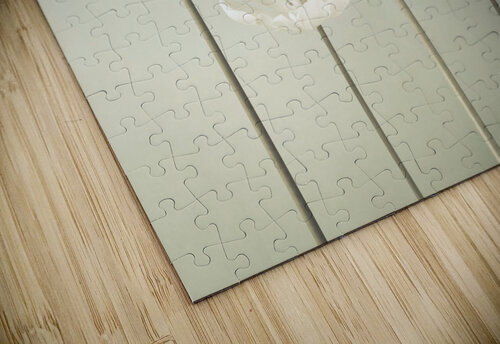 Monochromatic Harmony Assaf Frank puzzle