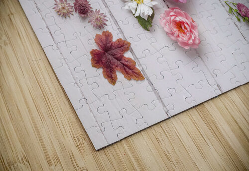 Eclectic Plants Assaf Frank puzzle