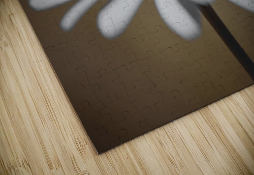 African Daisy Assaf Frank puzzle