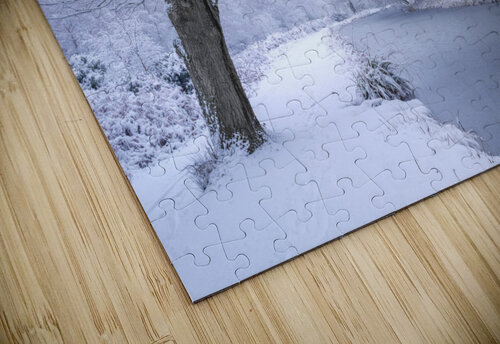 Snowy Forest Canal Assaf Frank puzzle