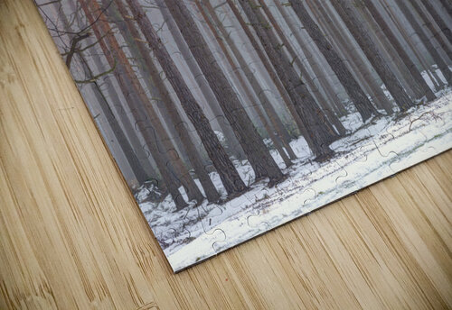 Fairyland Forest Assaf Frank puzzle