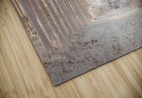 Winter Forest Assaf Frank puzzle