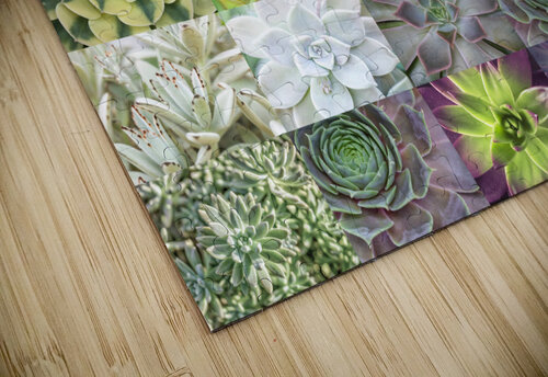 Succulents Collage Assaf Frank puzzle