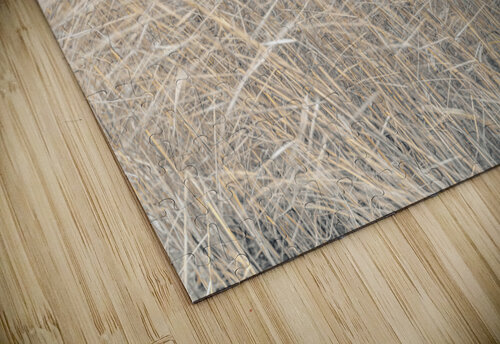 Brown reeds  Assaf Frank puzzle