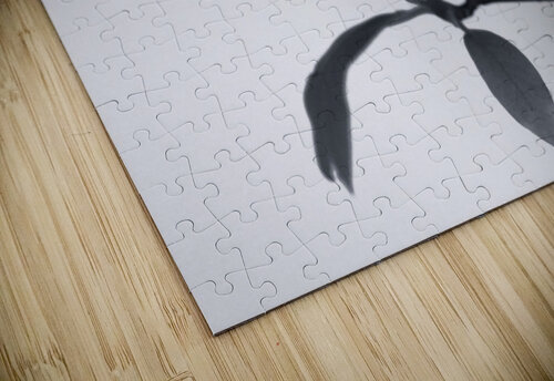 Monochrome Magnolia Assaf Frank puzzle
