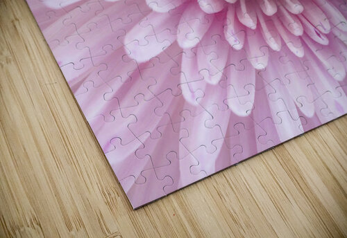 Chrysanthemum Flower Assaf Frank puzzle