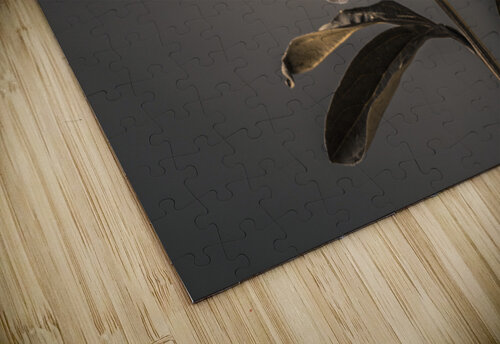 Peony Assaf Frank puzzle