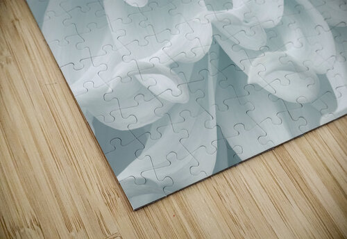 Dahlia close-up Assaf Frank puzzle