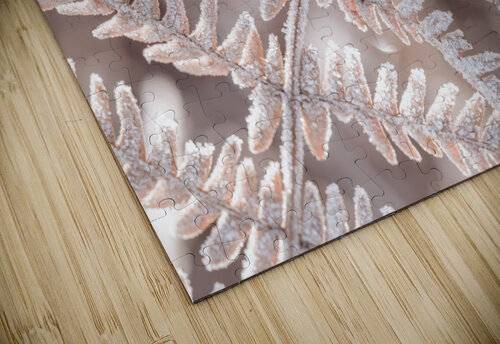 Plant Frost Assaf Frank puzzle