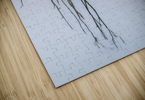 Still Lake Assaf Frank puzzle