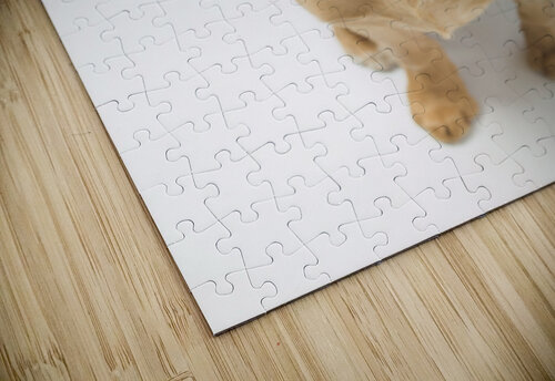 Cute Puppy Assaf Frank puzzle