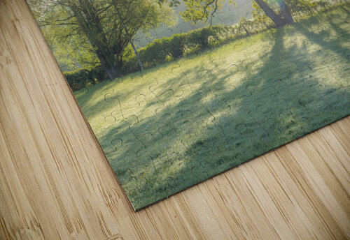 Sun burst through a tree Assaf Frank puzzle