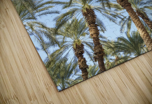 Keep Palm and carry on Assaf Frank puzzle