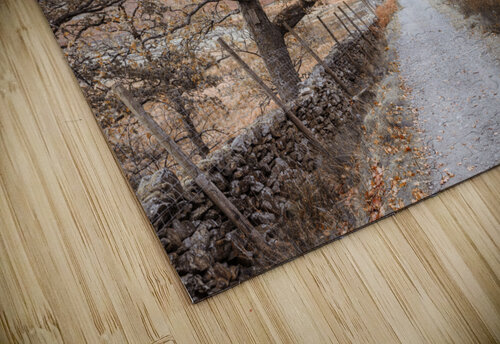 Tranquil Trails Assaf Frank puzzle