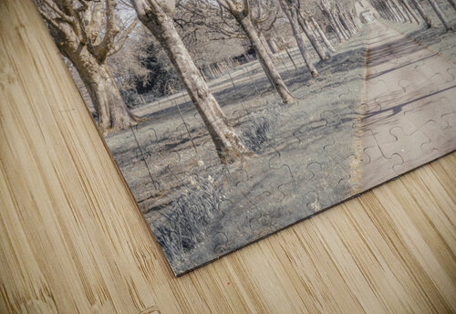 Natures Invitation Assaf Frank puzzle
