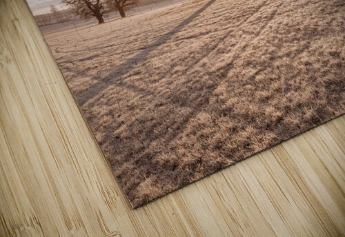 Morning Meadow Assaf Frank puzzle