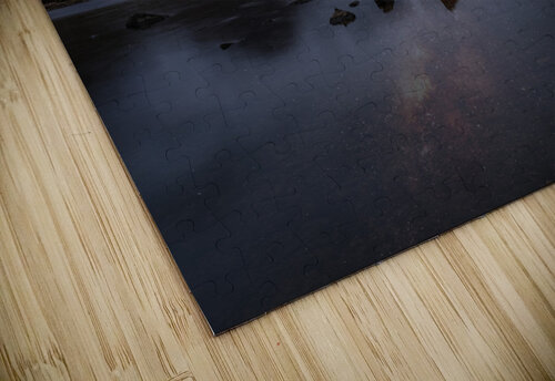 Starry Symphony Assaf Frank puzzle