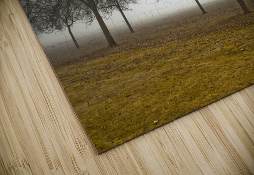 Misty Meadow Assaf Frank puzzle