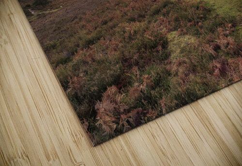 New Forest Sunset Assaf Frank puzzle