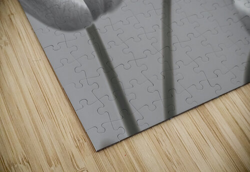 Natures Brushstrokes Assaf Frank puzzle