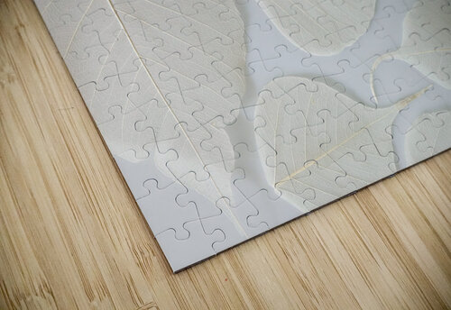 Skeleton Leaves Assaf Frank puzzle