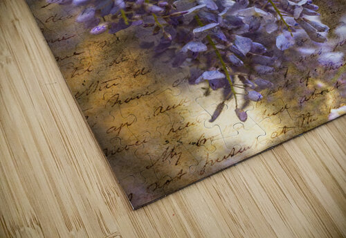 Wisteria Blooms Assaf Frank puzzle