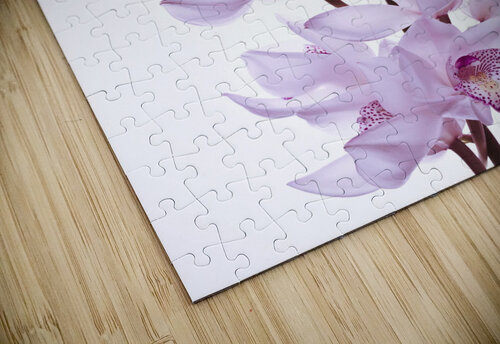 Orchids Assaf Frank puzzle