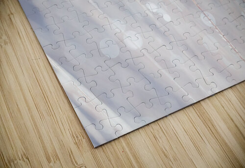 Reeds Assaf Frank puzzle