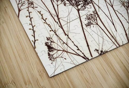 Dried Flowers Assaf Frank puzzle