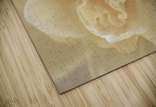 Daffodil Assaf Frank puzzle