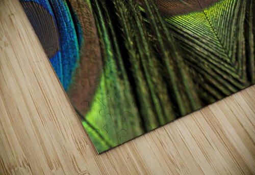 Peacock Feathers Assaf Frank puzzle