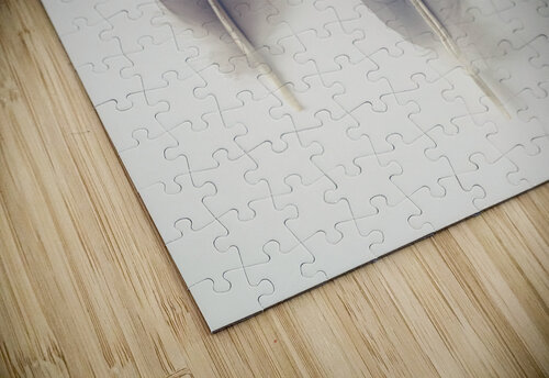 Delicate Feathers Assaf Frank puzzle