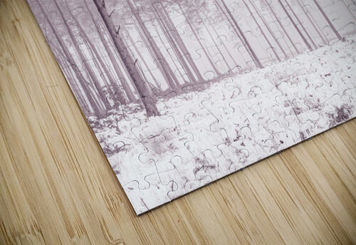 Snowy Forest Assaf Frank puzzle
