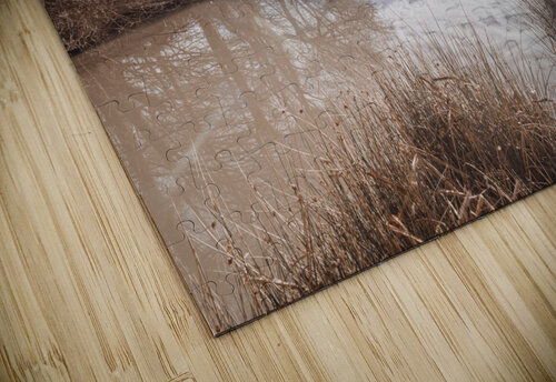 Pond reflection Assaf Frank puzzle